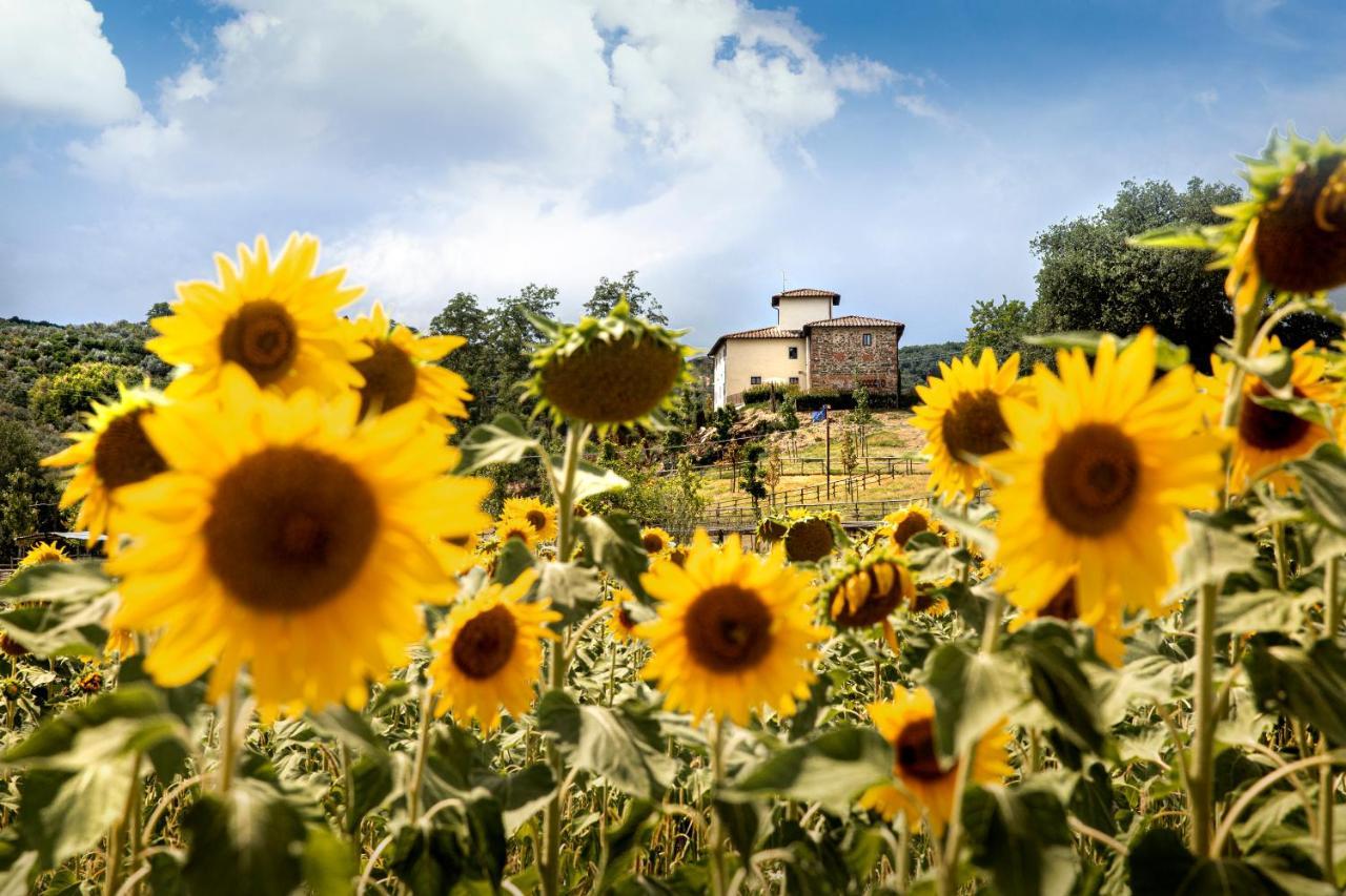 Palagina La Cascina Villa Figline Valdarno Exterior photo